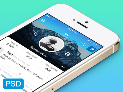 free-twitter-redesign-psd_1x