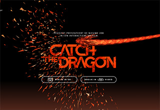 catch-the-dragon
